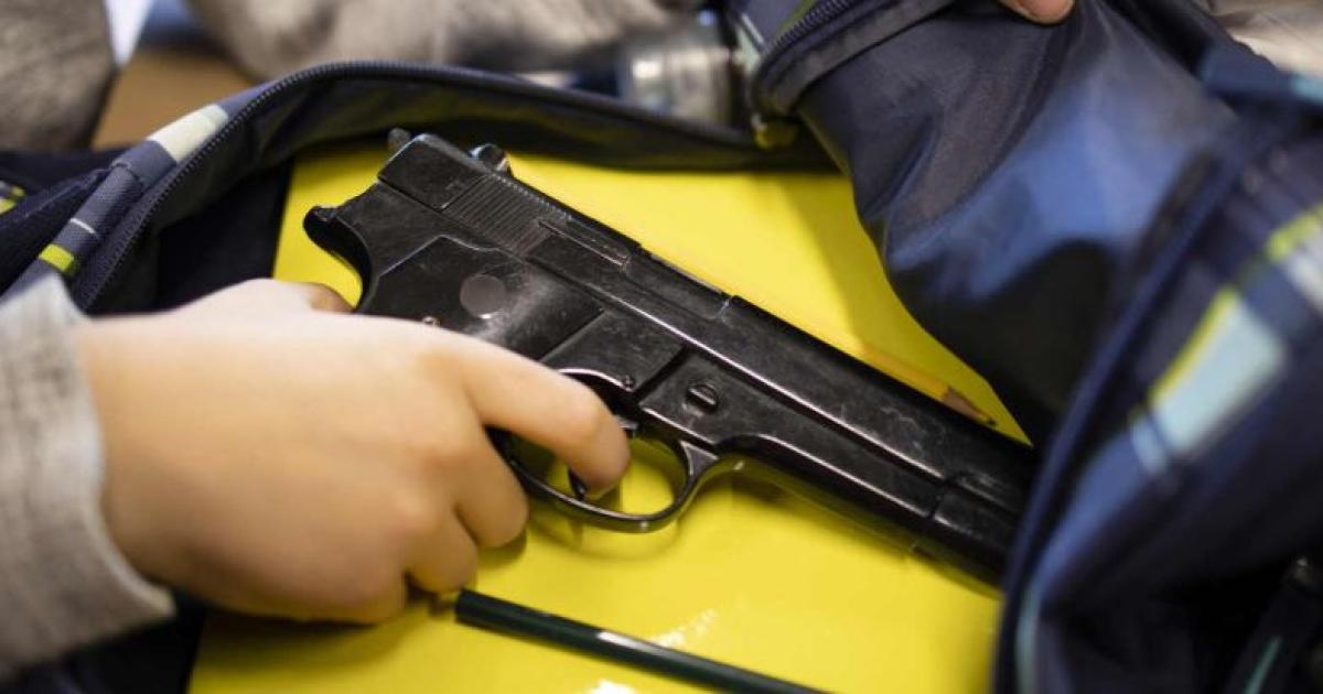 Riacuteo Negro- hijo de una diputada libertaria advirtioacute que llevariacutea un arma a la escuela y actovaron un operativo de seguridad