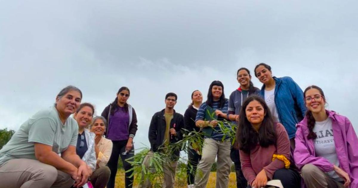 Estudiantes participan de monitoreo forestal en el INTA
