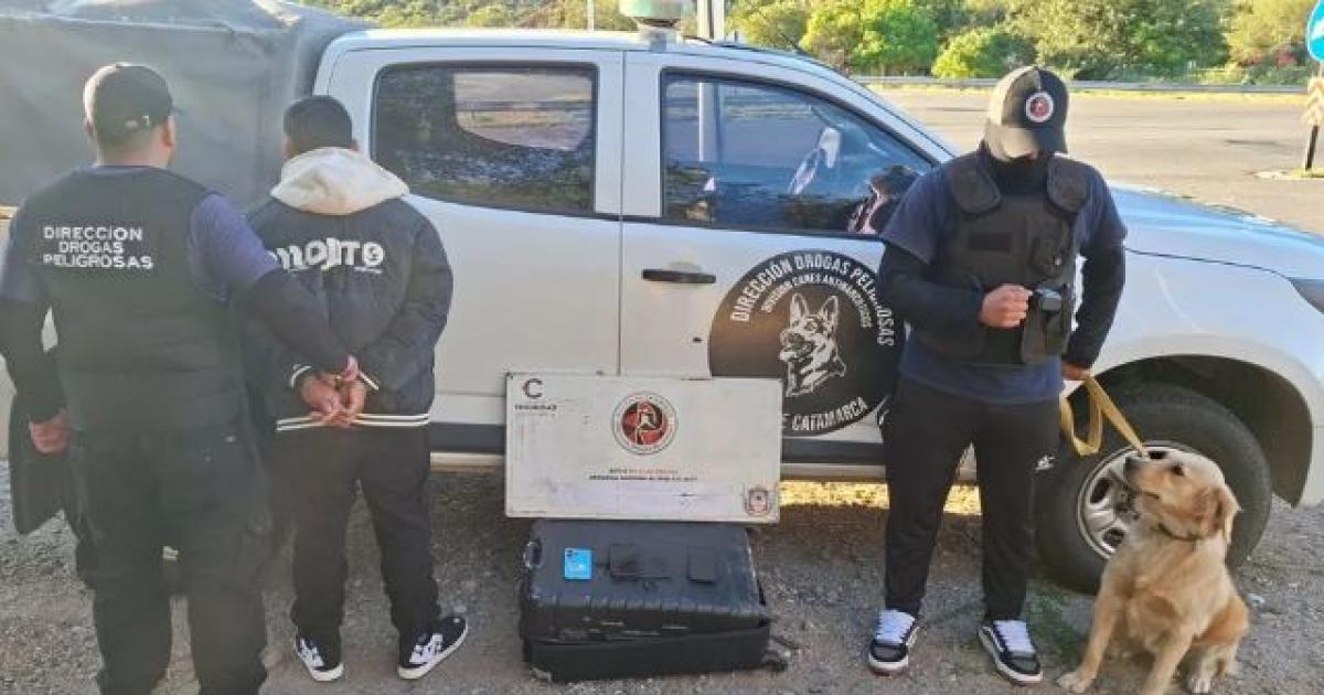 Detienen a un sujeto sde 26 años con 12 kilos de marihuana - Foto- El Ancasti