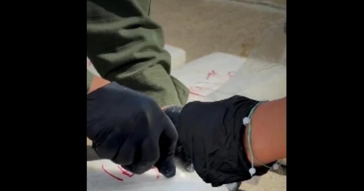 Golpe al narcotraacutefico- incautan casi una tonelada de cocaiacutena y detienen a Brian Bilbao