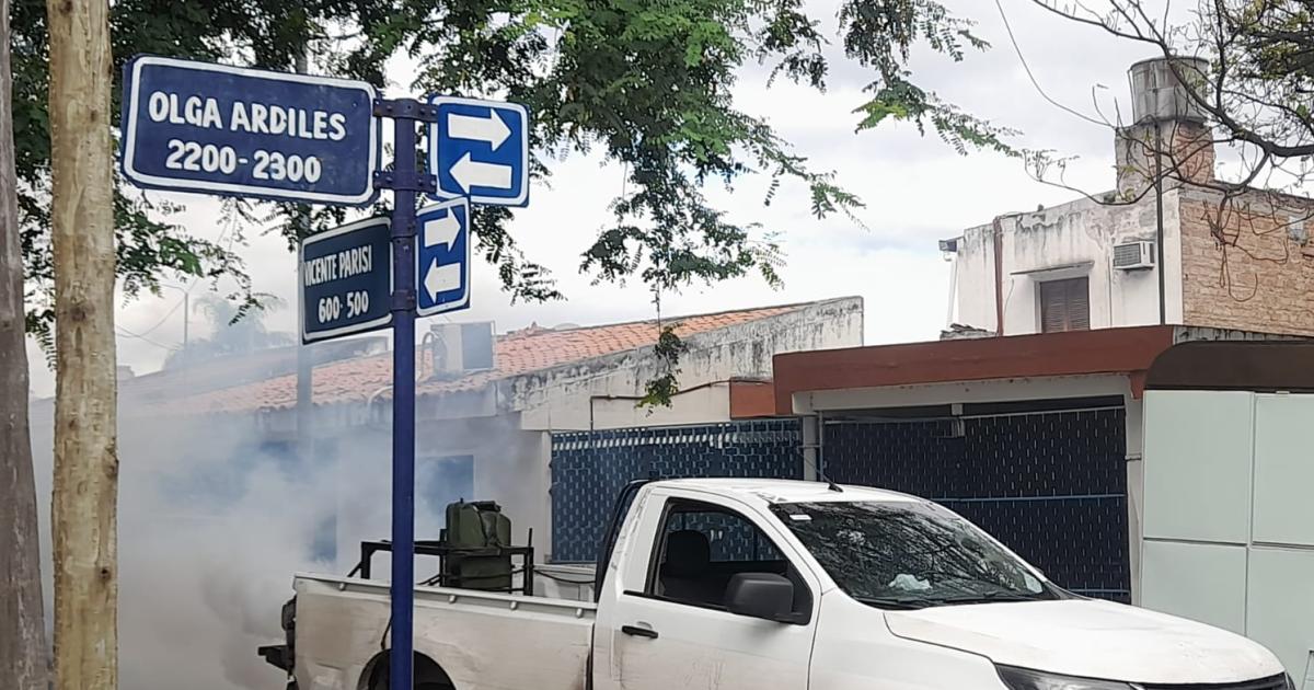 Los barrios donde se ejecutaraacute esta semana el programa de fumigaciones