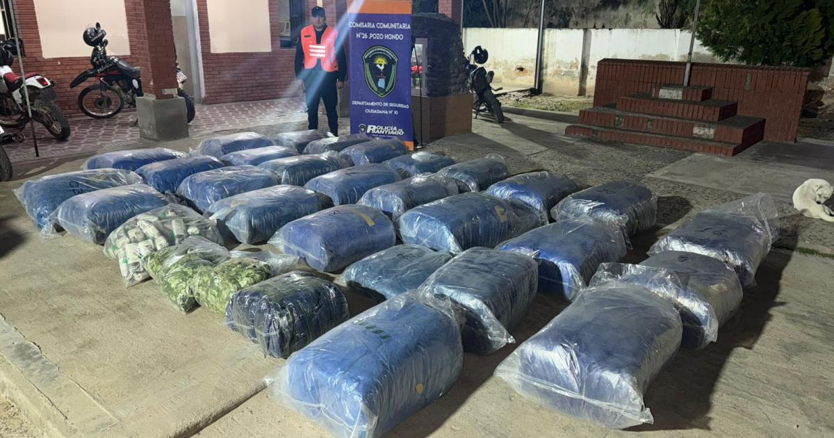 Incautan maacutes de 650 kilos de hojas de coca en un operativo sobre Ruta 34