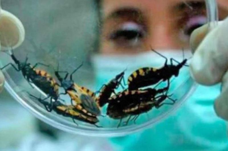 Semana por una Argentina sin Chagas- actividades del 14 al 17 de abril