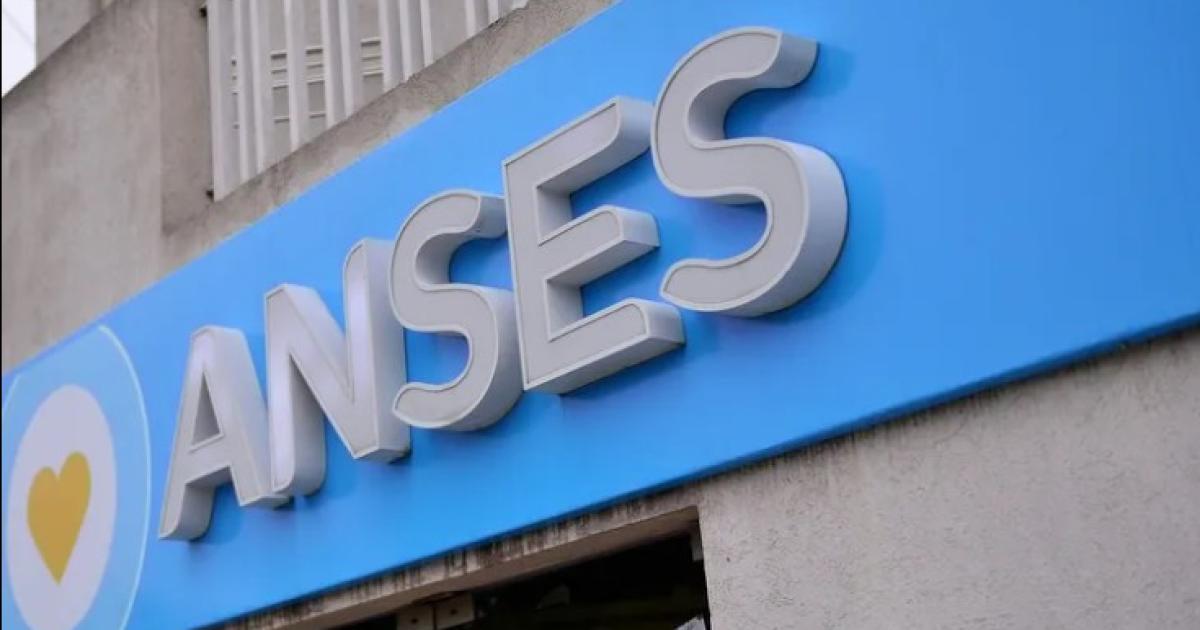Foto- Anses