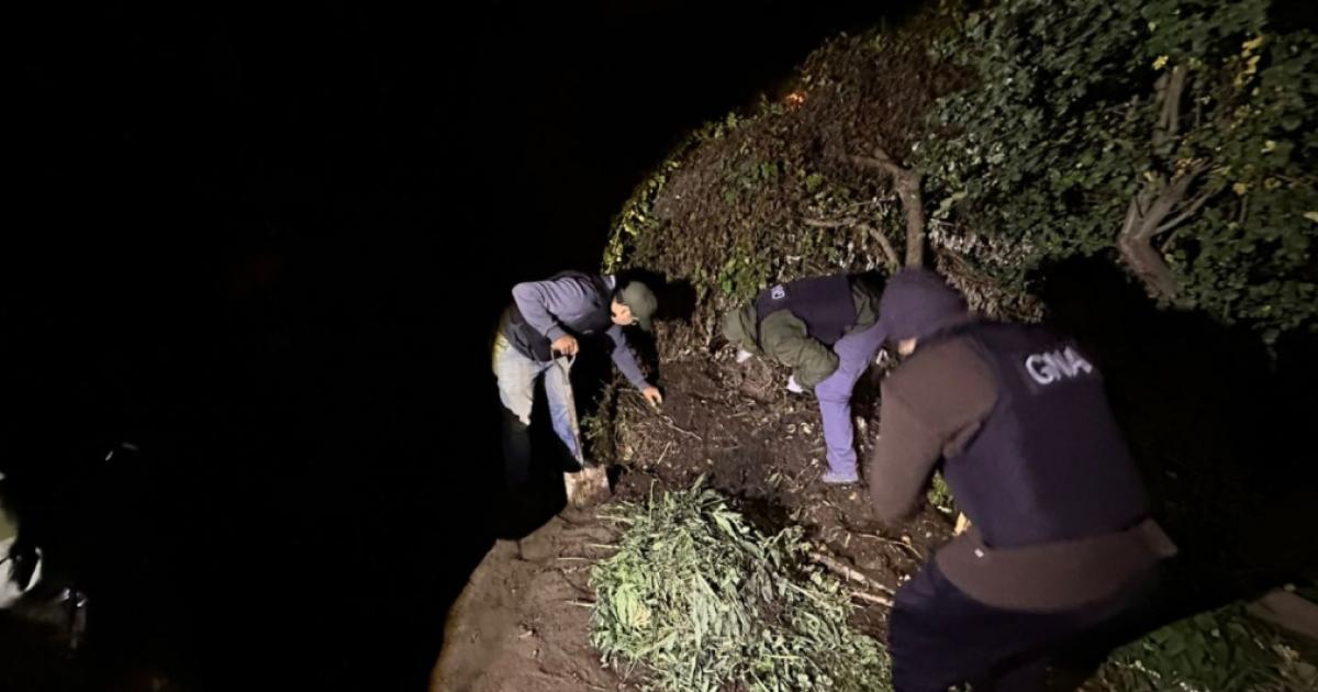 Investigan allanan un domicilio y descubren maacutes de 11 kilos de marihuana que fueron enterrados en un patio