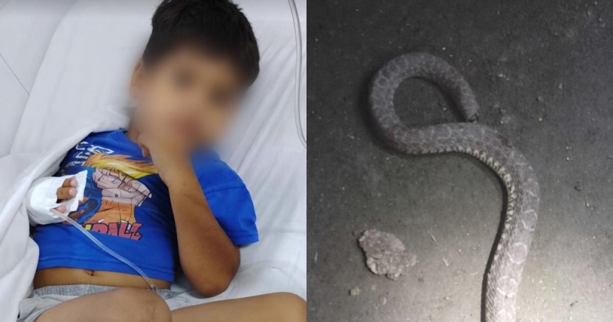 (Foto- Contexto Tucum�n)