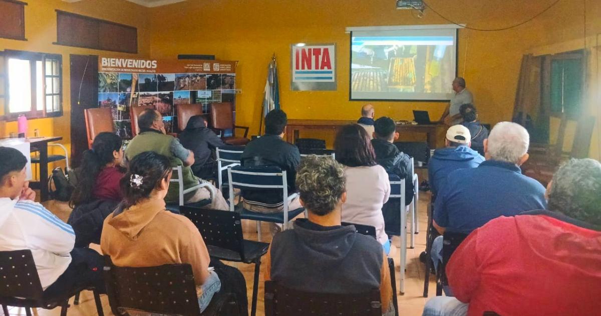 Productores apiacutecolas de toda la provincia se capacitaron en el INTA