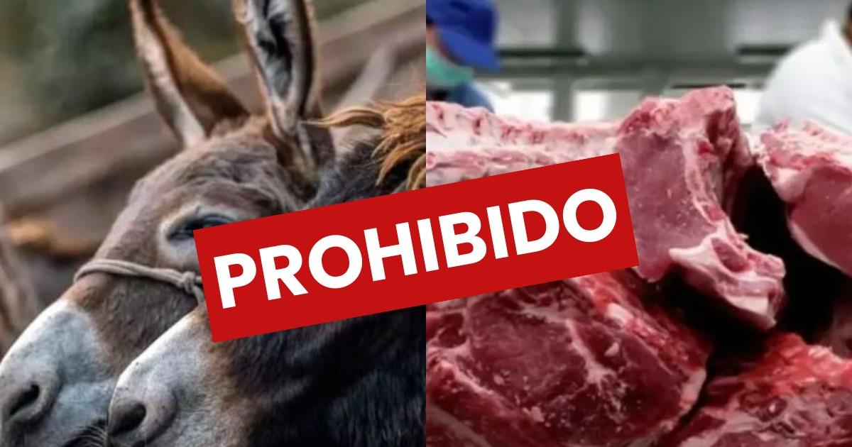 iquestSe vende carne de burro en Santiago Pro Carne lo descartoacute y advirtioacute sobre riesgos sanitarios