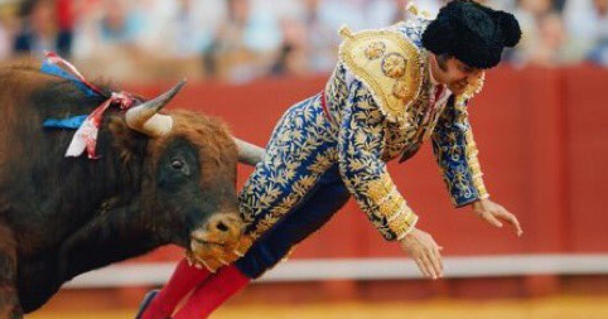 VIDEO DEL HORROR  Quieacuten es el torero que sufrioacute perforacioacuten de recto por una grave cornada