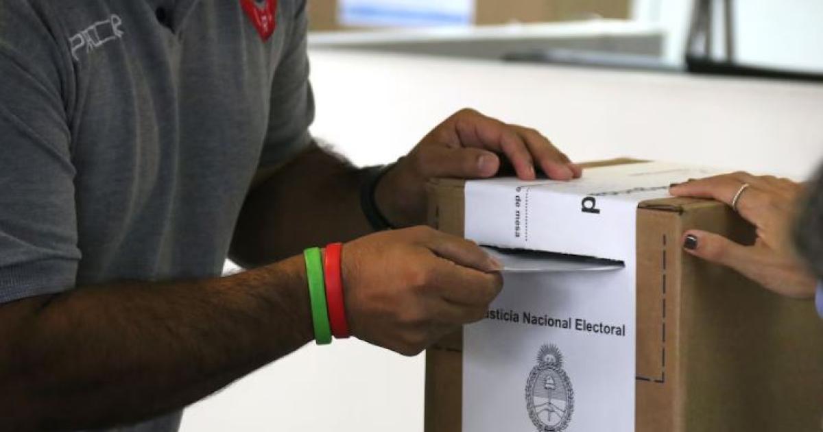 El texto que cuenta con 79 artículos ingresó a la C�mara Alta y plantea desde la eliminación de las PASO Foto- Infobae