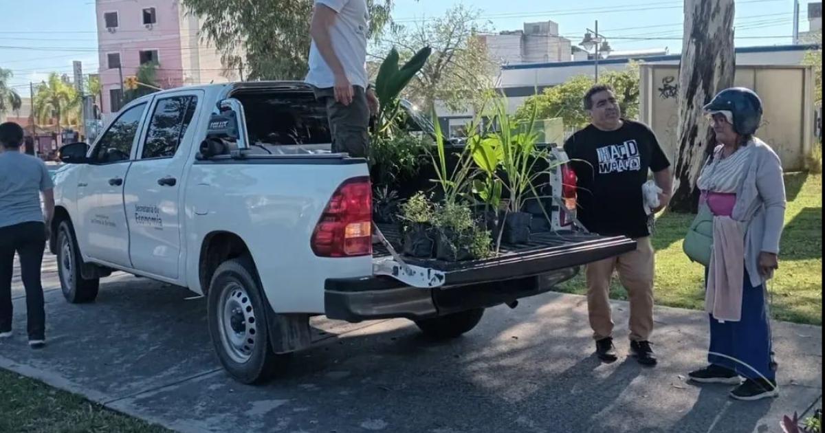 Invitan a la comunidad a sumarse a la campantildea Las Termas maacutes verde