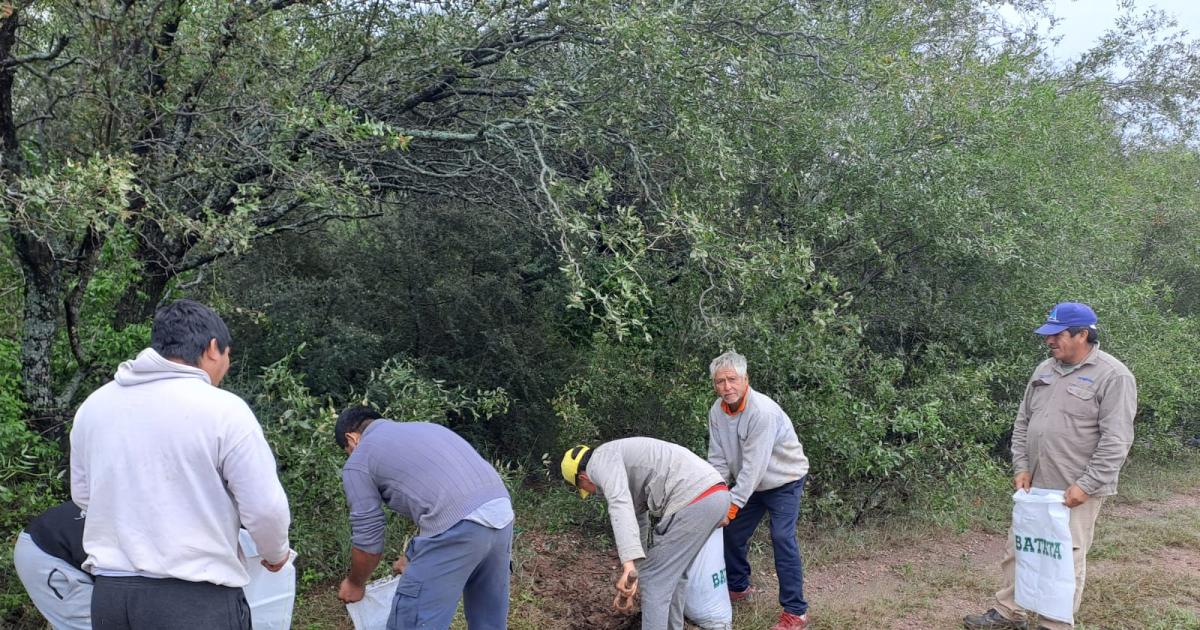 Intenso trabajo del Gobierno de la provincia en Los Juriacutees y en parajes vecinos afectados por las lluvias