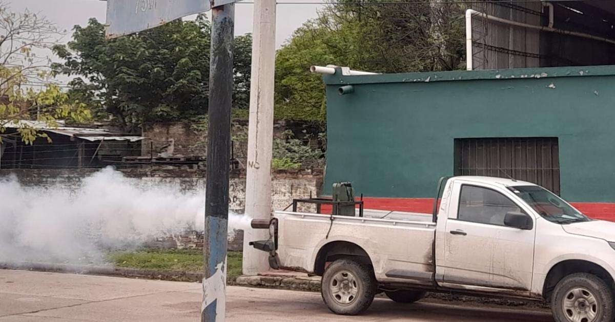 Cronograma de fumigaciones- queacute barrios seraacuten intervenidos esta semana