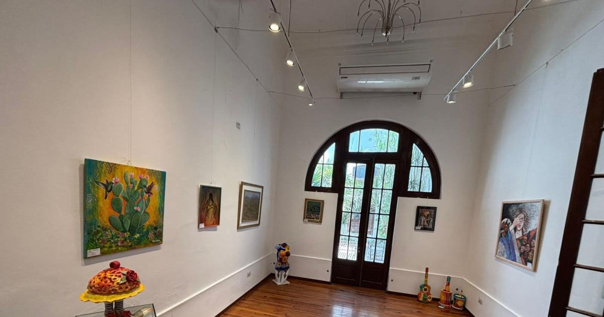 Charla de Clemente Di Lullo por el Diacutea de la Cultura Provincial