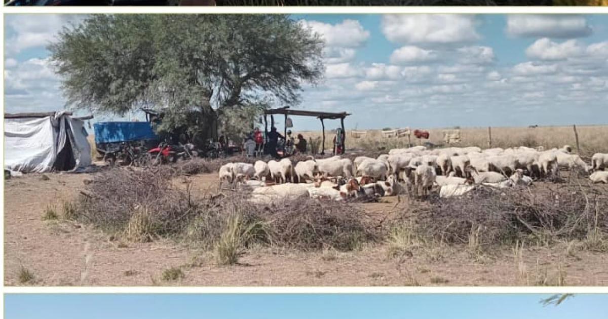Mujeres pastoras en los bantildeados santiaguentildeos