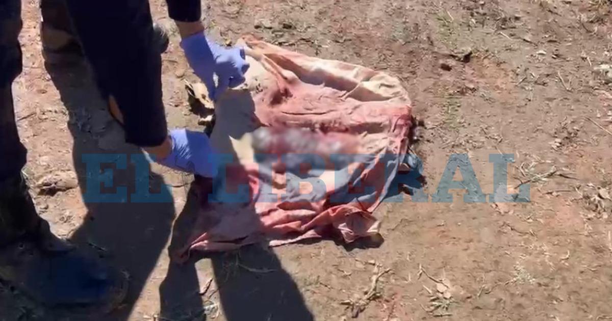 Hallaron un feto en el interior de una caja en el cementerio de Los Pirpintos