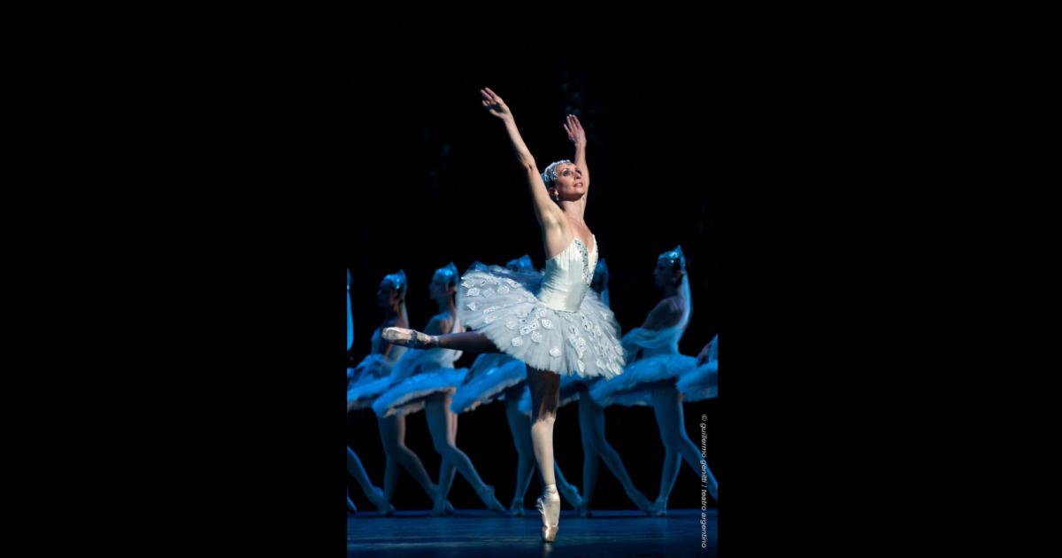 Croacutenica de la muerte del cisne santiaguentildeo