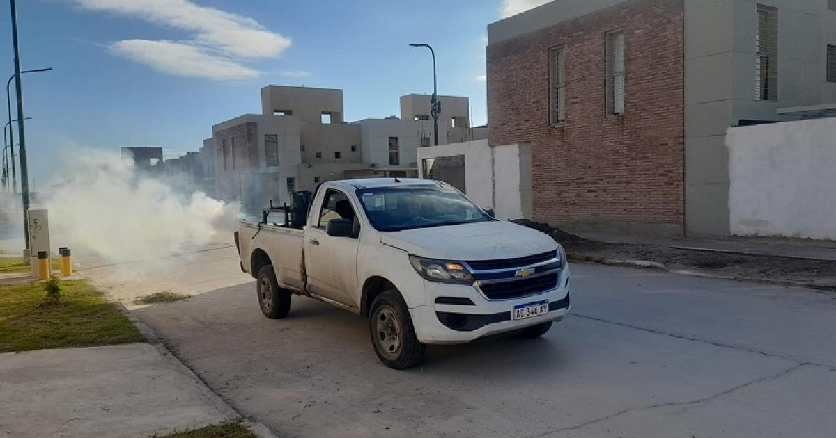La Municipalidad informoacute doacutende se haraacuten fumigaciones 