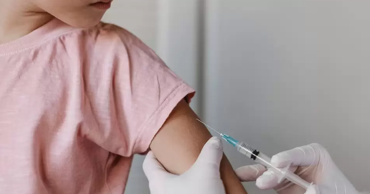 Denuncia y escaacutendalo- padres antivacunas pagaban hasta 160000 por certificados falsos para sus hijos
