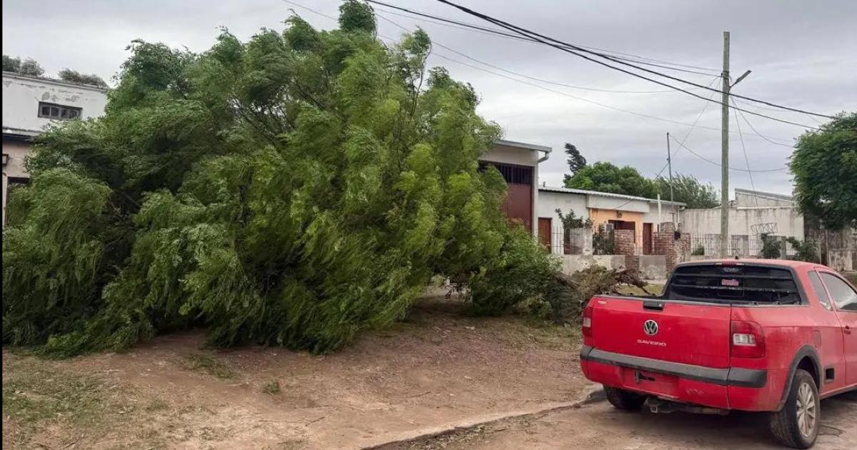 Los Juríes