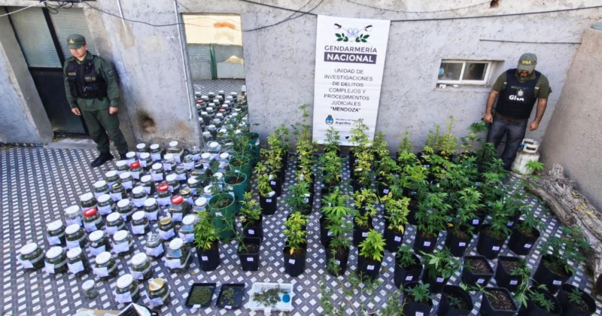 Allanan y desarticulan una organizacioacuten transnacional dedicada al traacutefico de personas y armas