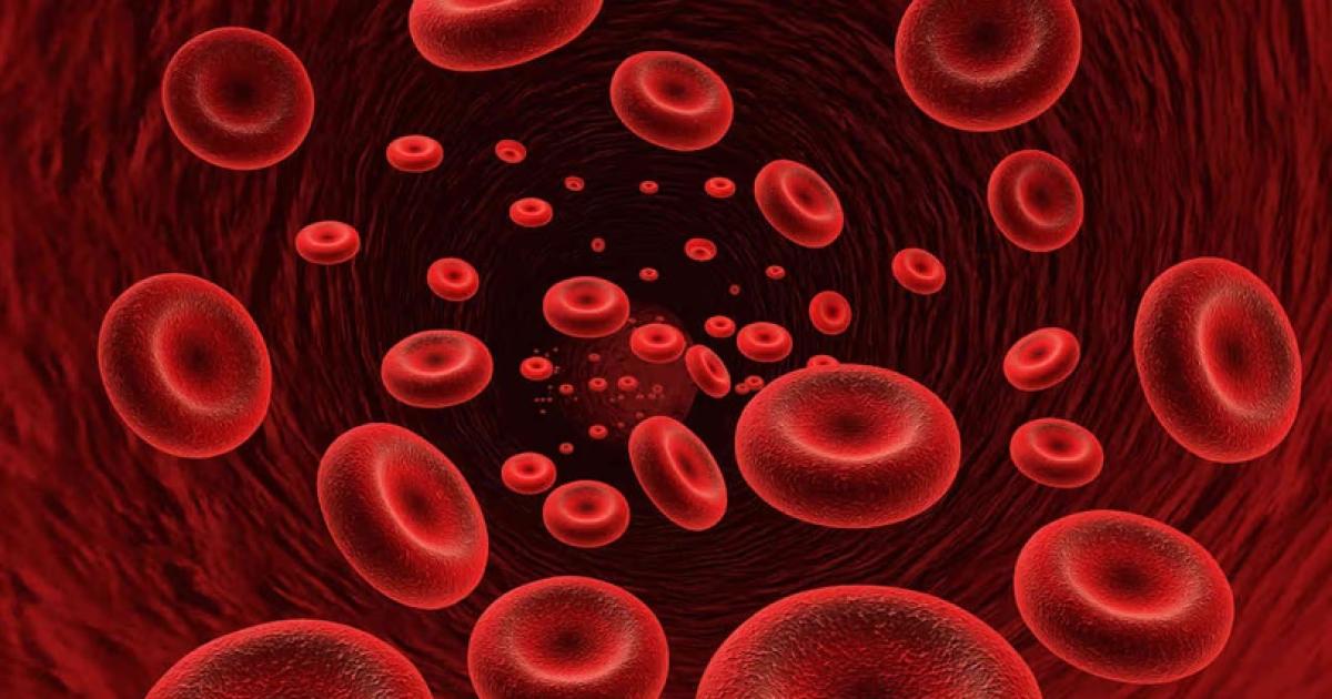 En la Argentina uno  de cada tres pacientes sufre anemia