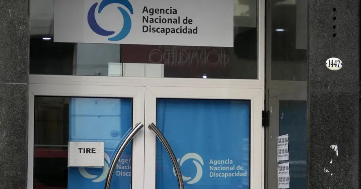 Salud halloacute sobreprecios de hasta 4239-en-porciento- en Andis en la compra de sillas de ruedas y otras facturaciones