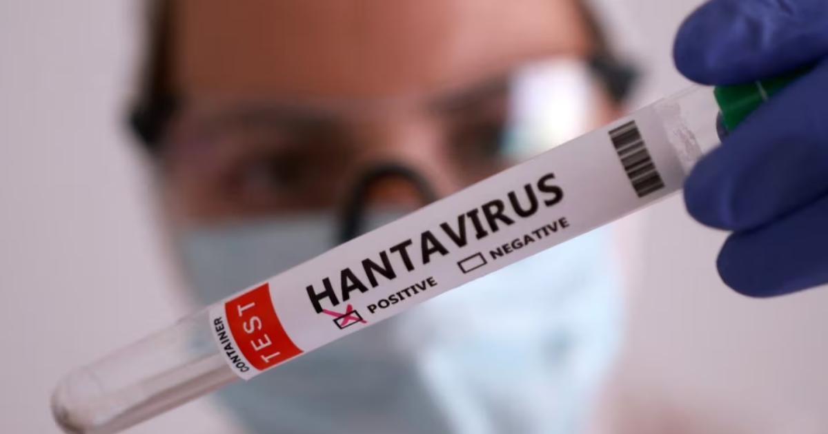 La nueva advertencia de la OMS por el brote de Hantavirus (Foto- Reuters)