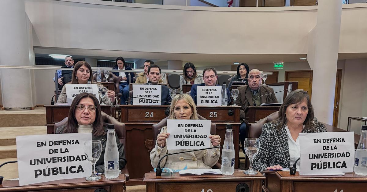 La Legislatura santiaguentildea respaldoacute la Marcha Universitaria y rechazoacute el ajuste a las universidades