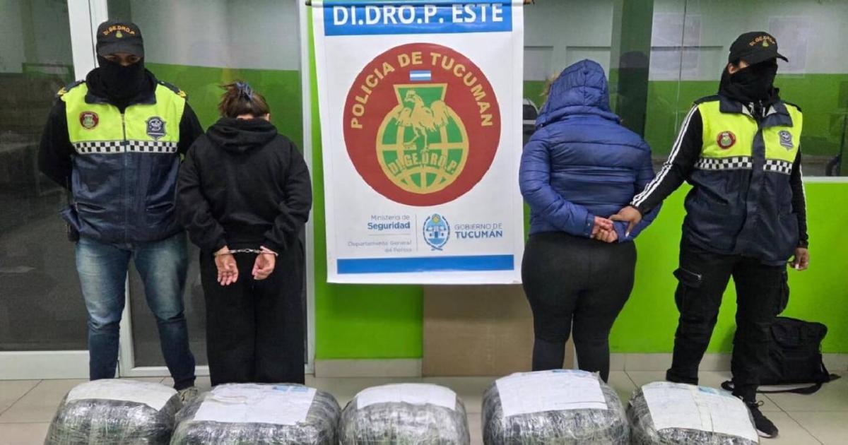 Insoacutelito- se mandaron 48 kilos de droga en encomiendas desde Salta y las detuvieron cuando fueron a buscarla