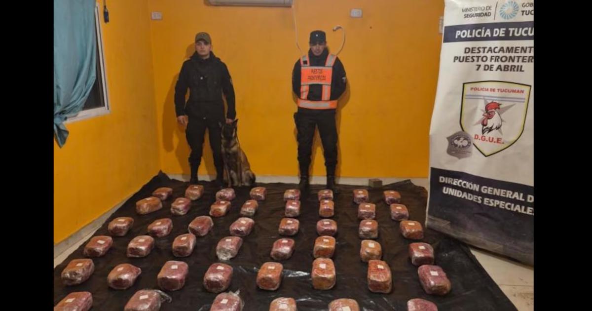 Insoacutelito- se mandaron 48 kilos de droga en encomiendas desde Salta y las detuvieron cuando fueron a buscarla