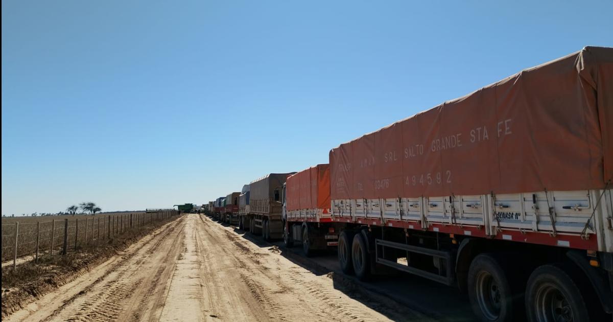 Tres presos por guerra en un campo con US 1 M en 800 hectaacutereas de soja