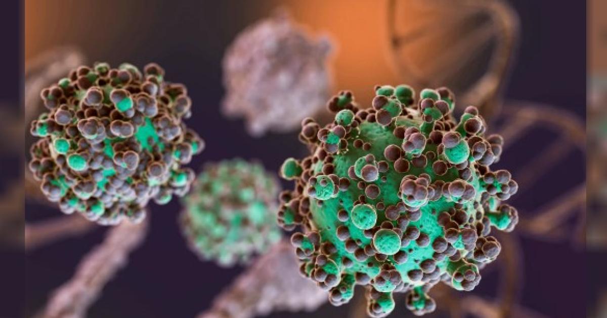 El hantavirus puso en alerta a varias jurisdicciones Foto- Agencia NA (FreepikIlustrativa)