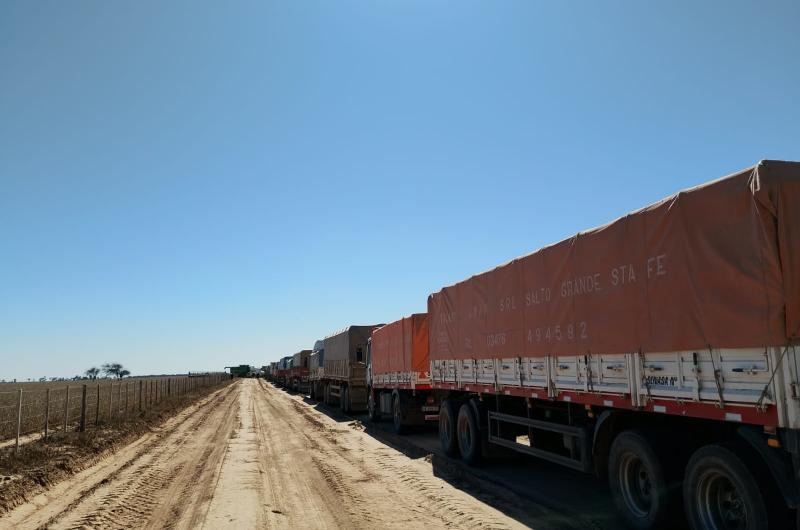 Tres presos por guerra en un campo con US 1 M en 800 hectaacutereas de soja