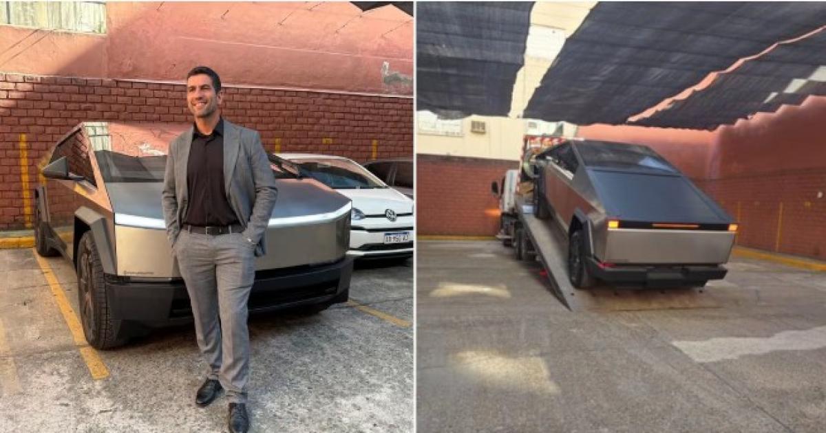 Una gra se llevó el Tesla del diputado libertario (Foto- X @delficelichini@ddeurieta)