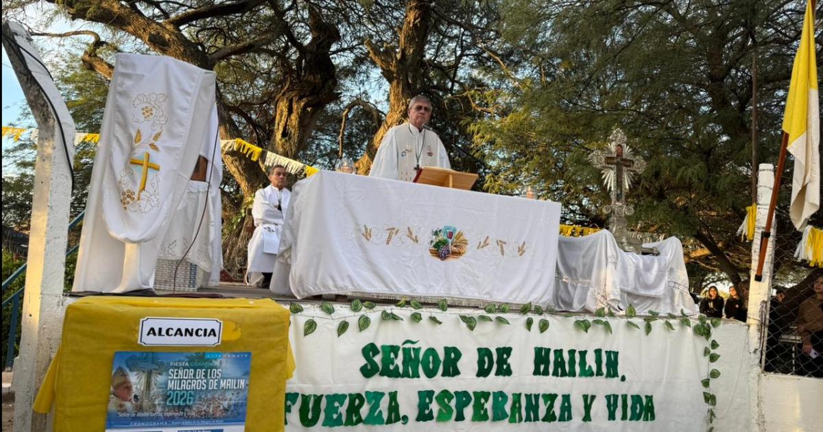 Martiacutenez Ossola y su criacutetica al gobierno nacional- Hablan de la casta y se siguen aferrando a la casta