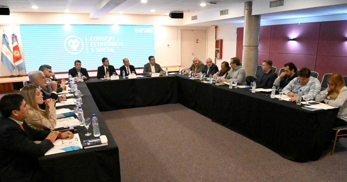 El Consejo Econoacutemico y Social se reunioacute con representantes de sector industrial de la provincia