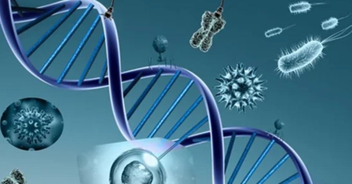  Mucopolisacaridosis- queacute son estas patologiacuteas geneacuteticas