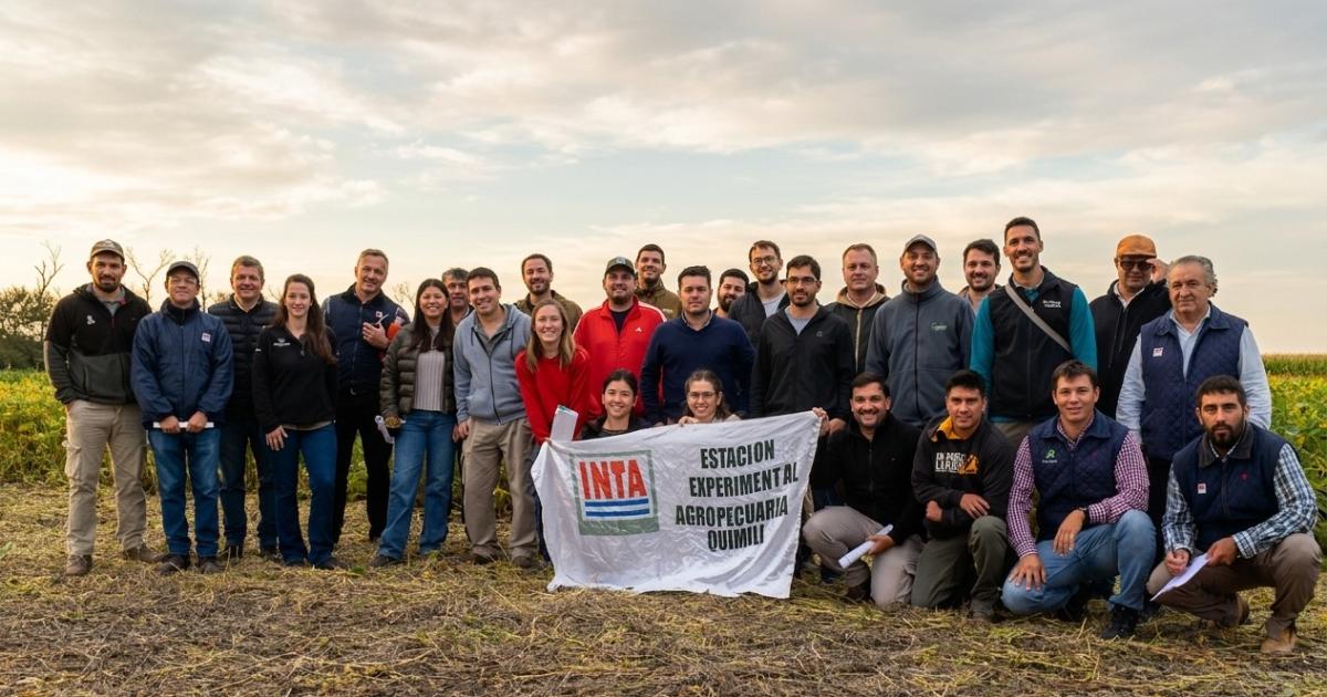 Se evaluaron maacutes de 60 cultivares de soja en la sede del INTA Quimiliacute