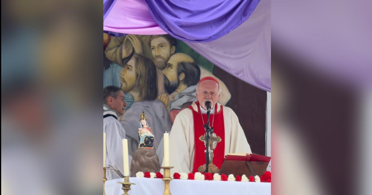 Mailiacuten nos ensentildea la fuerza de la comunidad- el mensaje de esperanza y unidad del cardenal Bokalic ante una multitud de peregrinos