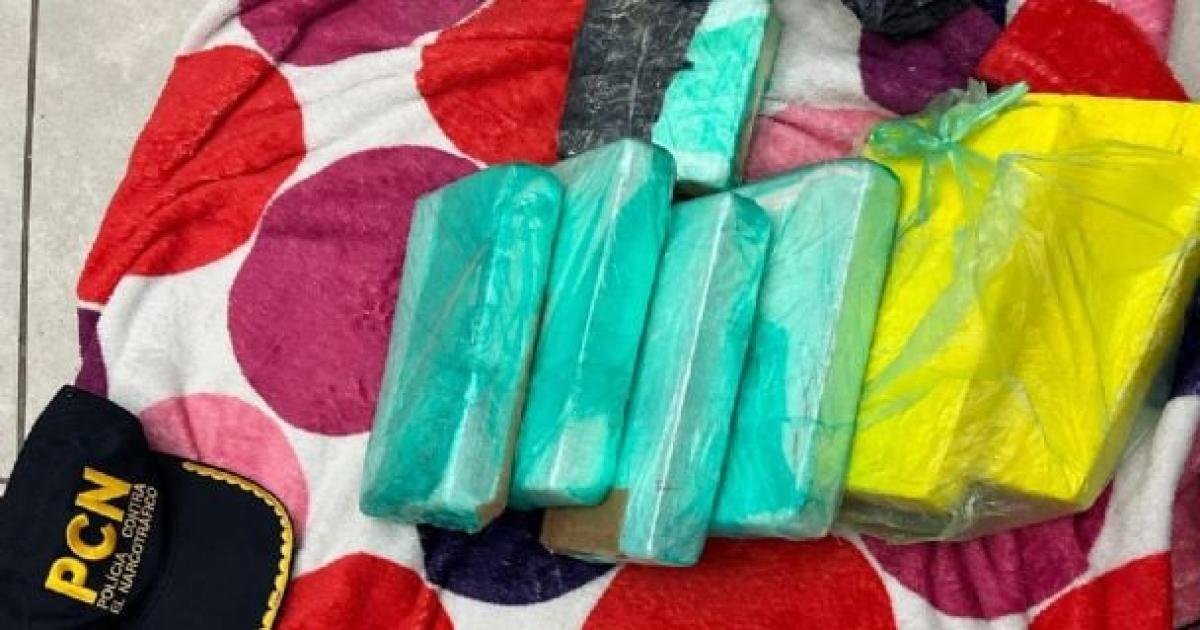 Detuvieron en la terminal a una mujer que transportaba casi siete kilos de cocaiacutena