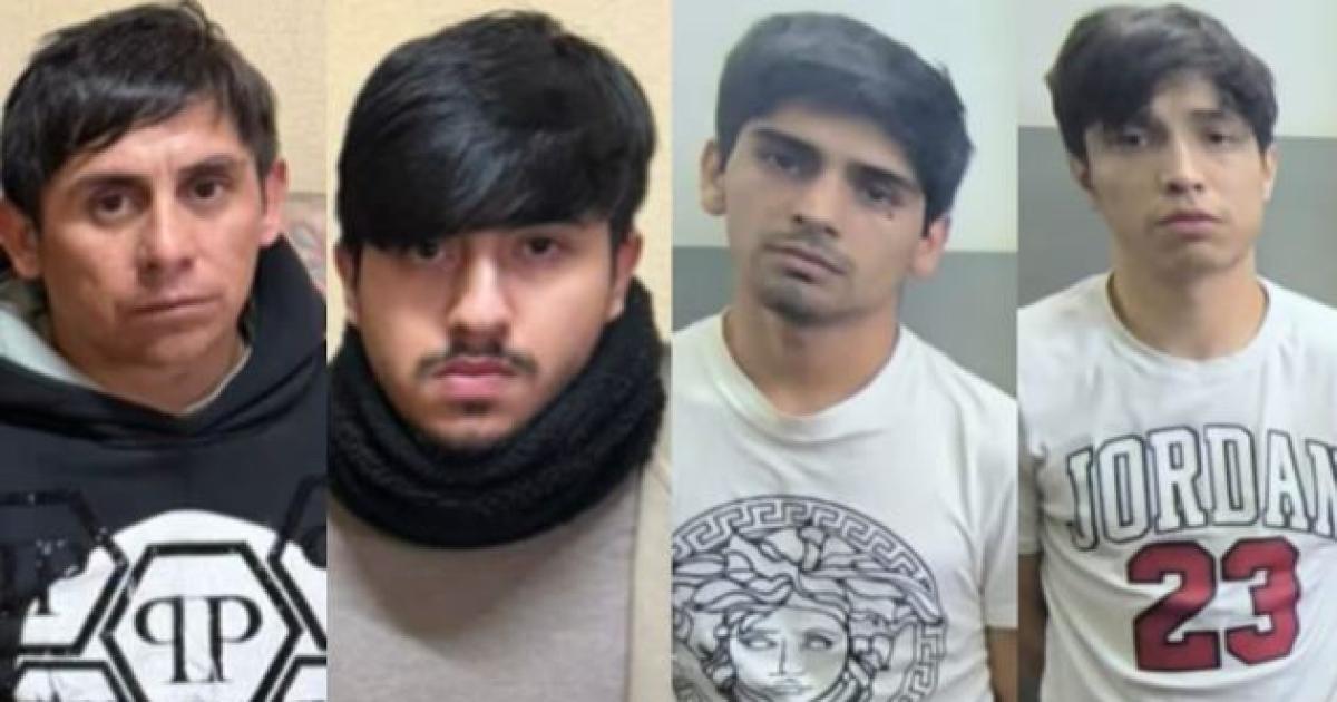 Desbaratan una banda internacional tras el robo en la casa de la madre de Del Potro