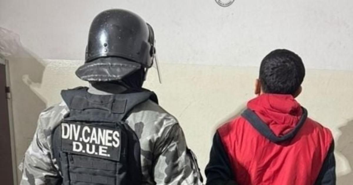 Santiaguentildeo atrapado en pleno viaje- teniacutea pedido de captura por violacioacuten