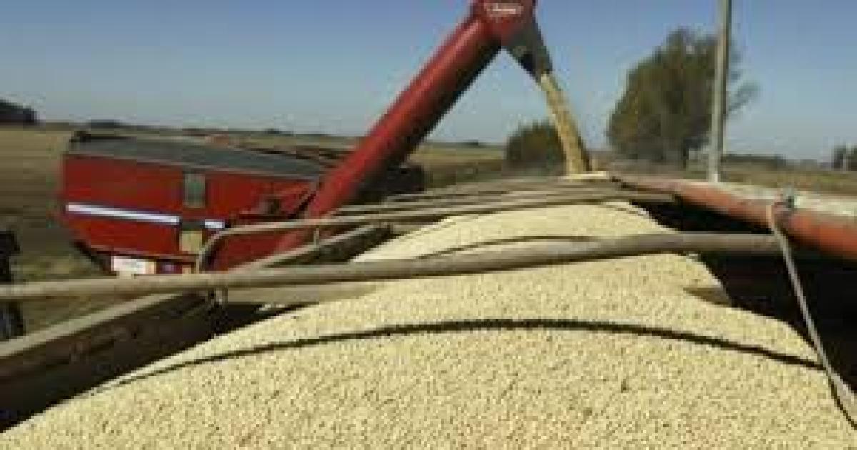 La baja de retenciones trae alivio a los maacutergenes agriacutecolas y calculan un acotado costo fiscal