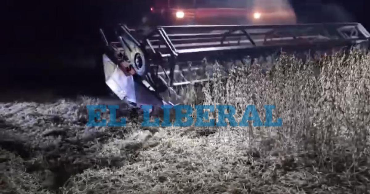 Asombro en Los Juriacutees- el suelo flota y se mueve al paso de las cosechadoras