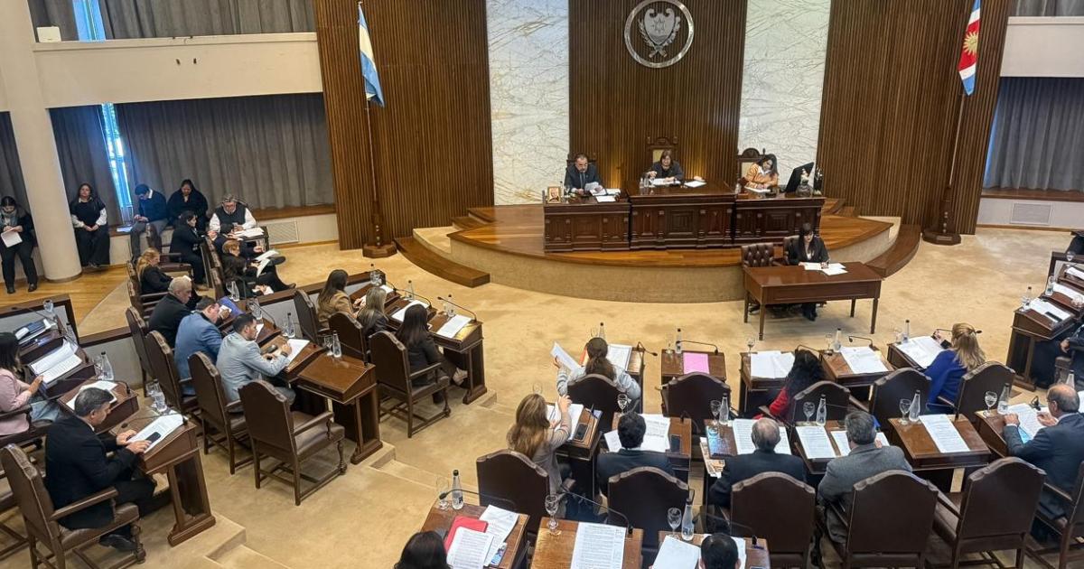 La Legislatura provincial aproboacute una nueva moratoria impositiva y la modernizacioacuten del cobro de creacuteditos fiscales