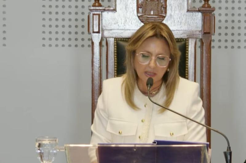 La intendente Fuentes brindoacute su mensaje anual ante el Concejo Deliberante capitalino
