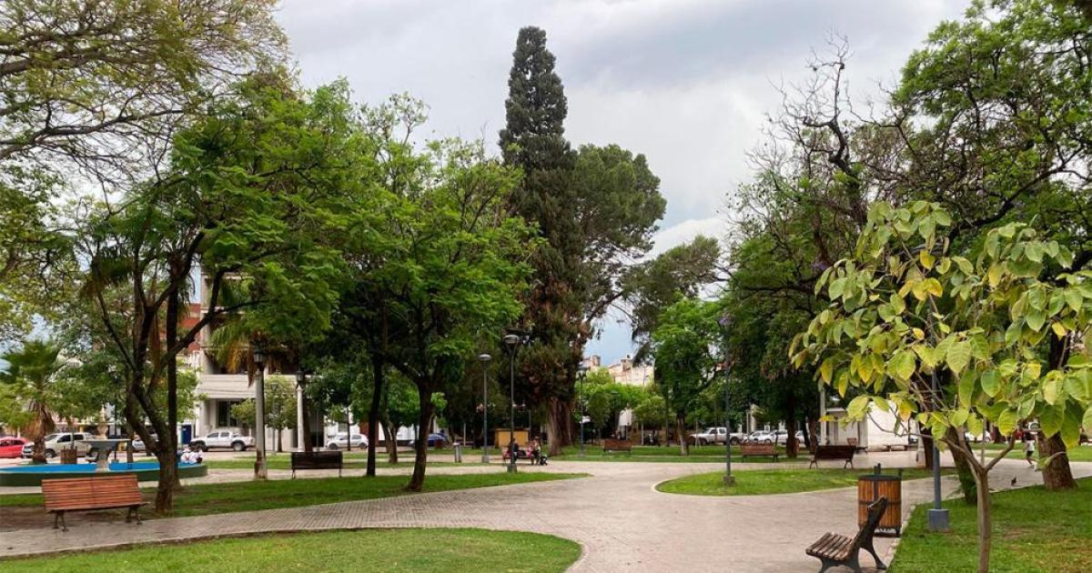Domingo ideal para actividades al aire libre- preveacuten una maacutexima de 22degC
