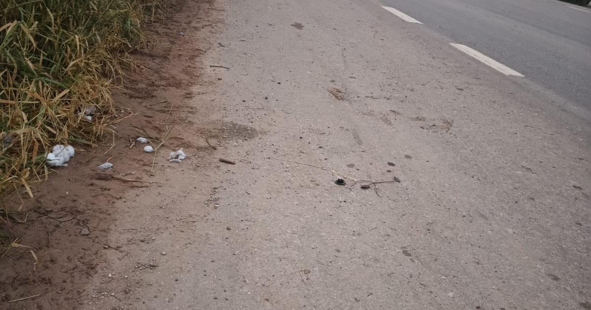 Tristeza por el fallecimiento de un menor tras chocar contra un perro