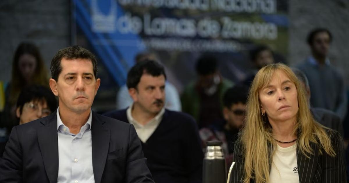 Senadores presentaron proyecto para proteger el sistema nuclear nacional
